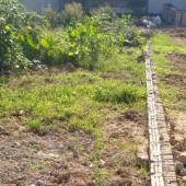 Chủ bán đất Nguyên Khê, Đông Anh, ôtô, tiện ích, giá nhỉnh 2 tỷ, 0375555372